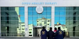 Ordu'da Jandarma Ekiplerinden Büyük Operasyon: 32 Bin Kişi Sorgulandı