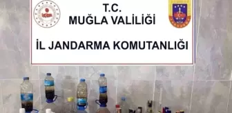 Muğla'da Kaçak Alkol Operasyonu