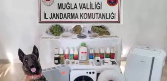 Muğla'da Uyuşturucu Madde Operasyonu: 2.895 Gram Skunk Ele Geçirildi