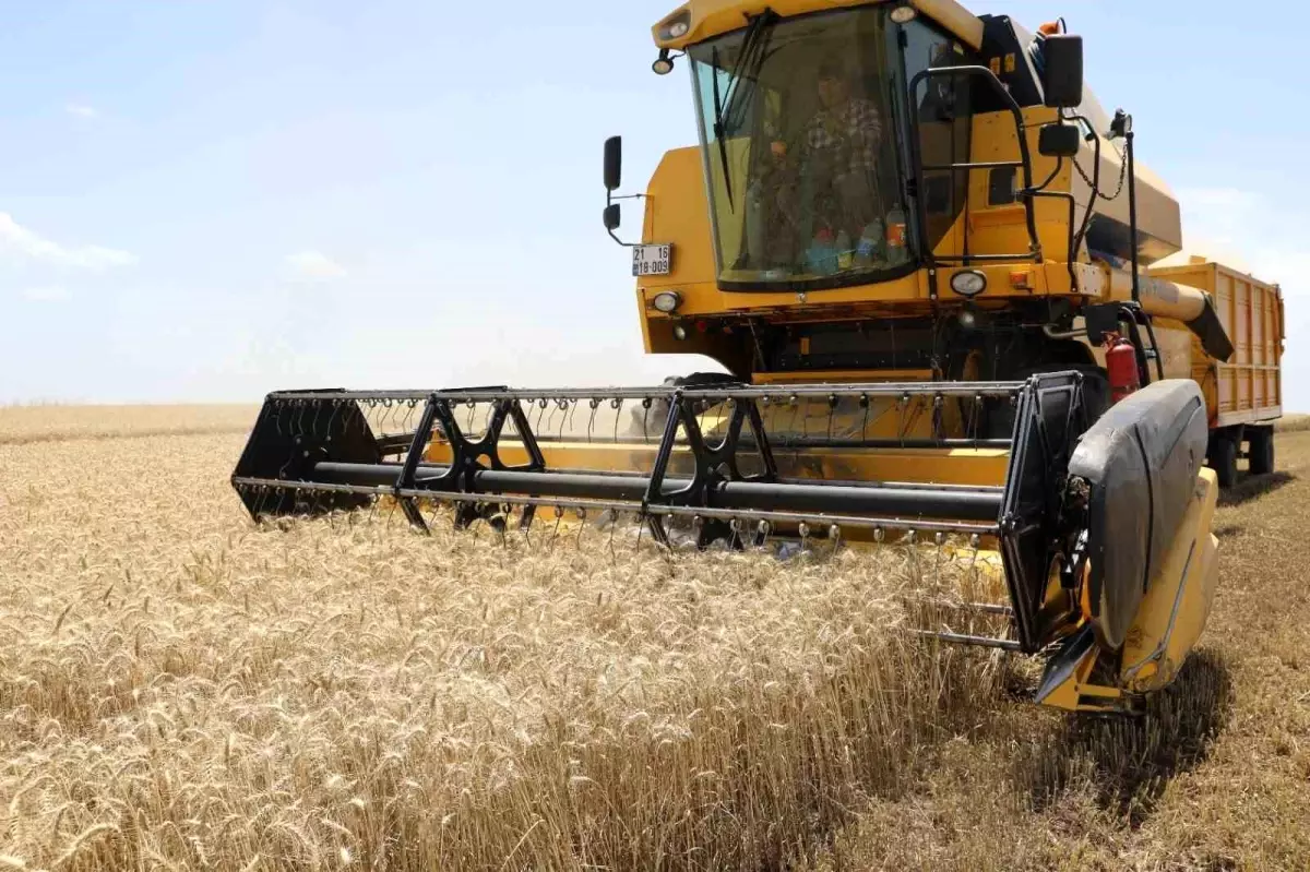 Diyarbakır'a 2024 Yılı İçin 158 Milyon TL Tarım Desteği
