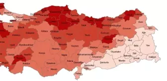 TÜİK'ten Açıklama: Eskişehir'de Yaşlı Nüfus Oranı Artıyor