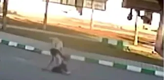 Gaziantep'te Kız Çocuklarına Sokak Köpeği Saldırısı