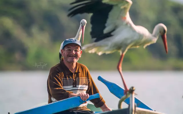 Yaren the Stork did not come, anxious wait continues