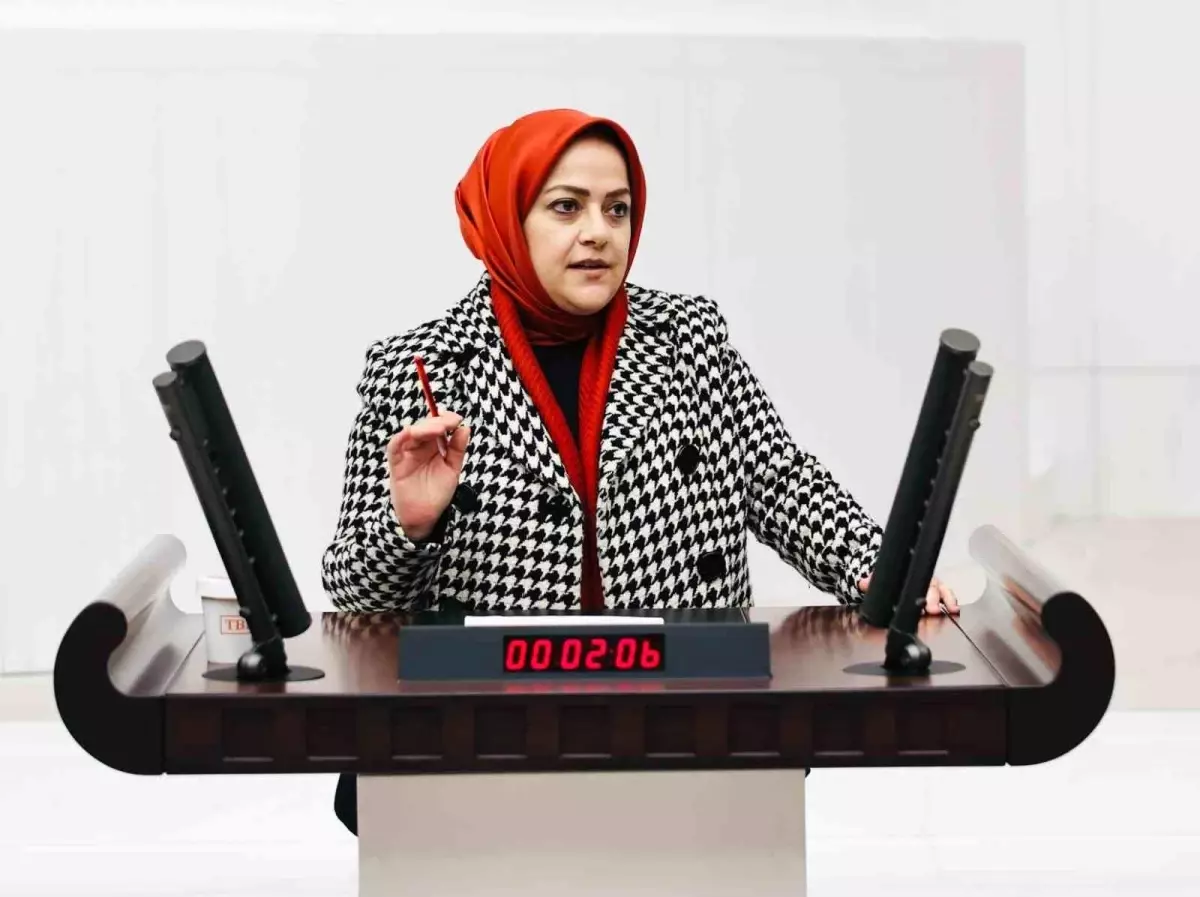 Denizli Milletvekili Sema Silkin Ün: 'Emeklilerin Hakları Hiçe Sayılıyor'