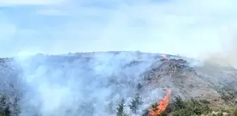 Osmaniye'de Orman Yangını Kontrol Altına Alındı