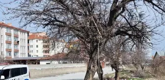 Çorum'da İntihar Girişimi: Vatandaşlar Kurtardı