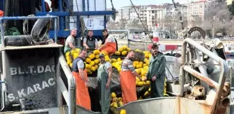 Tekirdağlı Balıkçılar Müsilaj Nedeniyle Sezonu Erken Kapattı