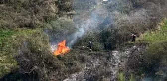 Samsun'da Otluk Alanda Yangın Kısa Sürede Kontrol Altına Alındı