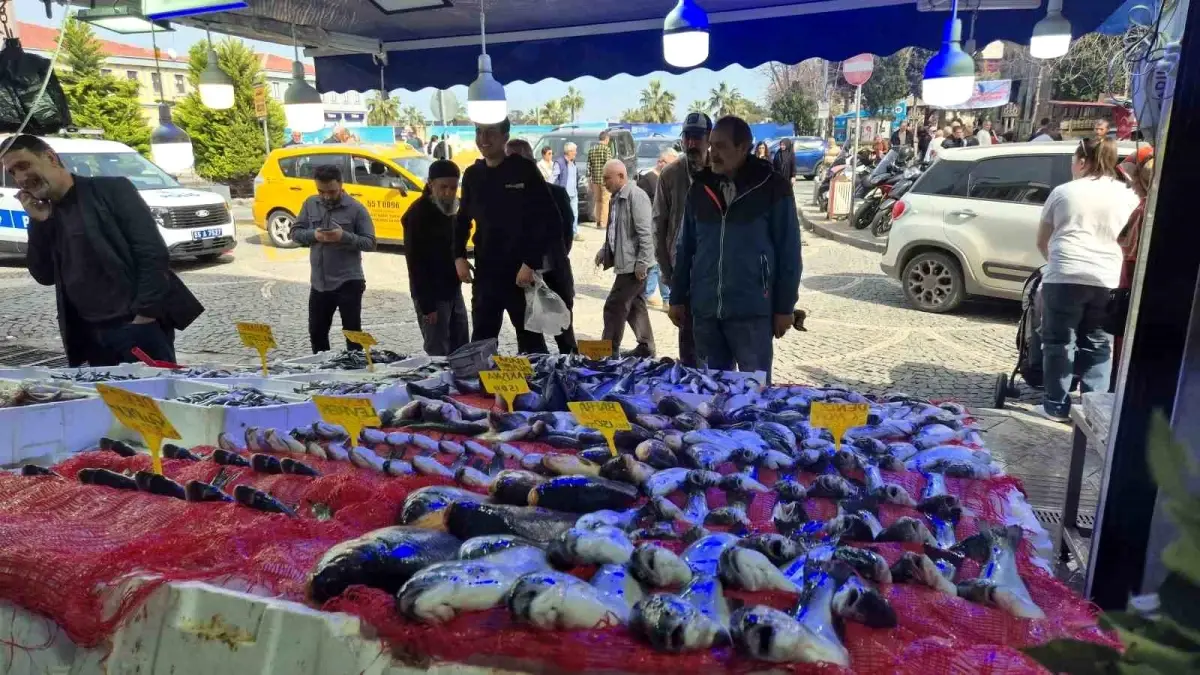 Ramazan'da Balık Tezgahlarında Durgunluk: Hamsi ve Mezgit Talep Gördü
