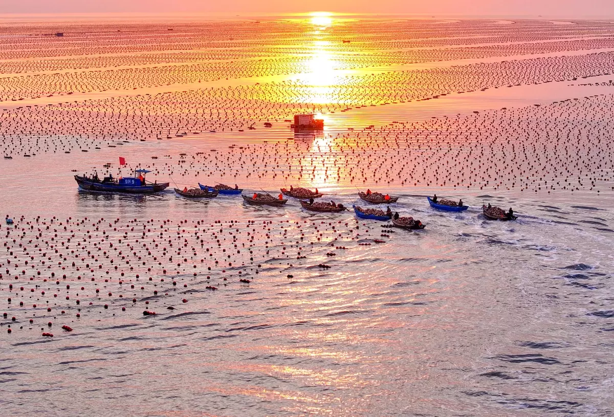 Çin, Okyanusta Modern Deniz Çiftlikleri Kuruyor