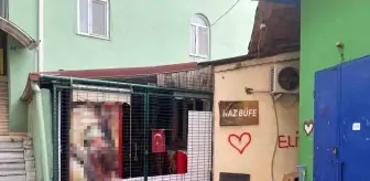 Kocaeli'de Çocuklar Marketten Dondurma Çaldı, Özür Diledi