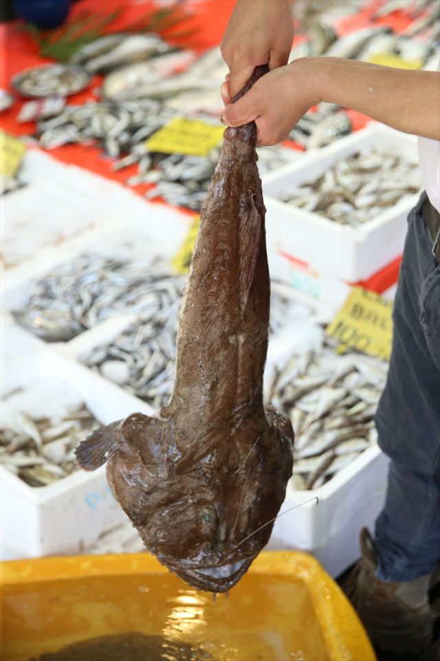 Lanternfish Rarely Seen in Ordu Caught: Weight 500 Grams, Price 3,250 Lira Each