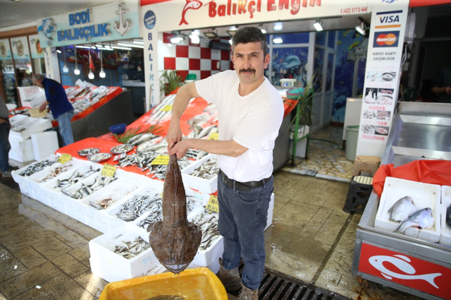 Lanternfish Rarely Seen in Ordu Caught: Weight 500 Grams, Price 3,250 Lira Each