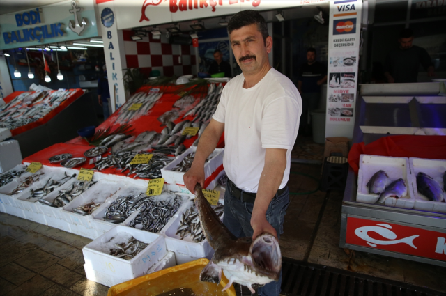 Lanternfish Rarely Seen in Ordu Caught: Weight 500 Grams, Price 3,250 Lira Each