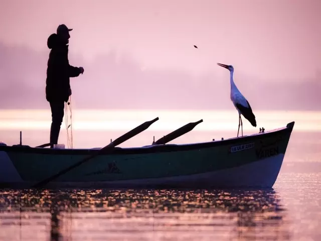 Those who want to see Yaren the stork flocked to Bursa