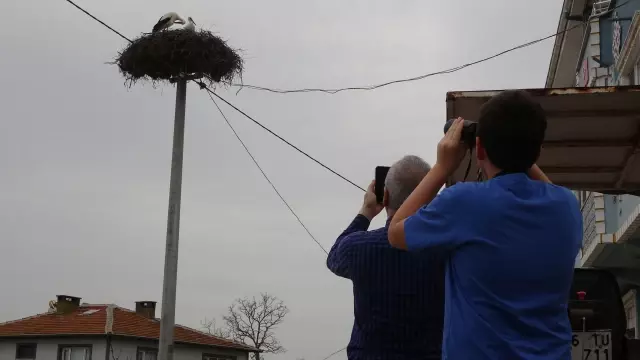 Those who want to see Yaren the stork flocked to Bursa