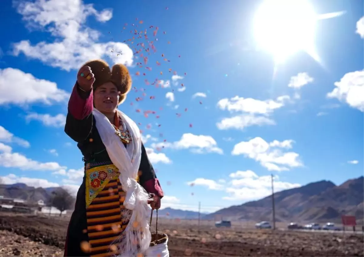 Tibet'te İlkbahar Kutlamaları ve Tarım Sezonu Başlangıcı