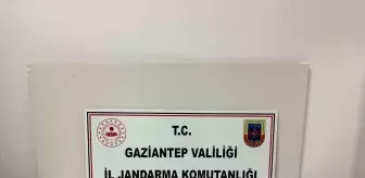 Gaziantep'te Tarihi Eser Kaçakçılığı Operasyonu: 62 Sikke Ele Geçirildi