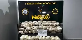 Şırnak'ta 86 Kilo Skunk Uyuşturucu Ele Geçirildi