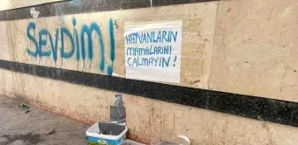 Eskişehir'de Sokak Hayvanlarına Duyarlı Davranış