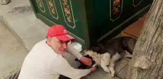 Eskişehir'de Taksi Şoförünün Duyarlı İlişkisi: Fındık