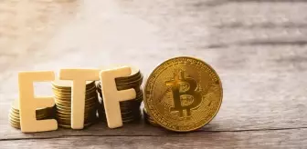 Trump etkisi devam ediyor: Hashdex ETF portföyüne 7 altcoin ekledi