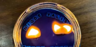 Gastro Niğde Derneği, Vali Çelik ile Ziyaret Gerçekleştirdi