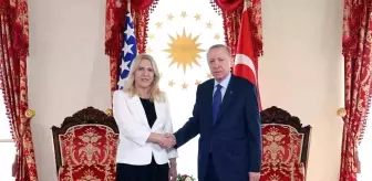 Cumhurbaşkanı Erdoğan, Bosna Hersek Devlet Başkanlığı Konseyi Başkanı Sviyanoviç ile görüştü