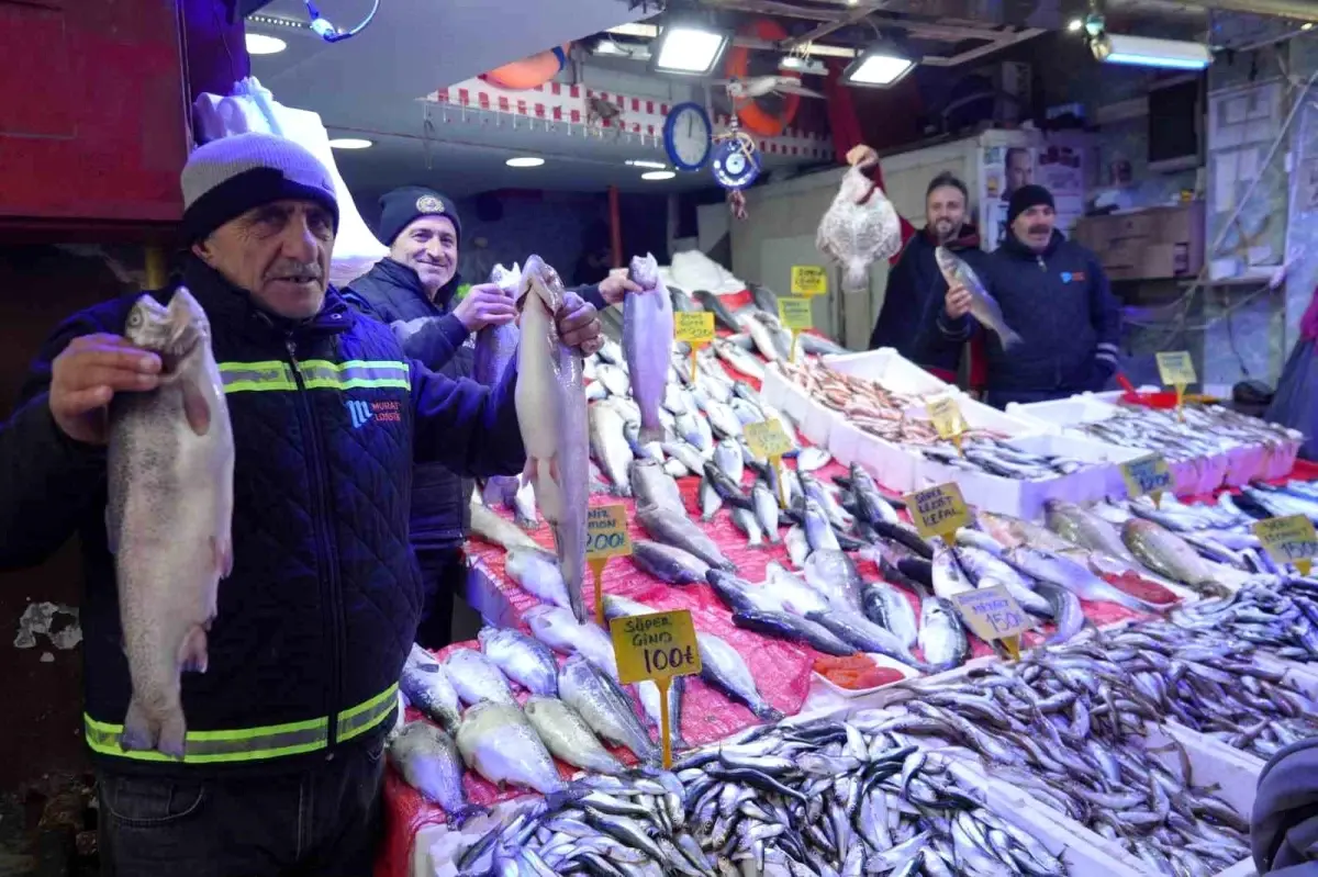 Samsun'da Balıkçılar Bereketli Sezondan Memnun