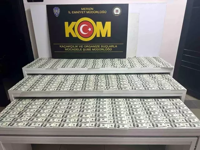 They set up a printing house and printed millions of lira in counterfeit dollars