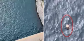 Köprüden atlayan gencin cansız bedeni akıntıyla böyle sürüklendi