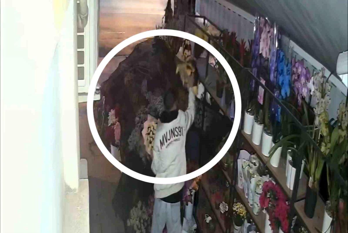 Samsun'da Çiçekçiyi Soyan Hırsızlar Güvenlik Kamerasında