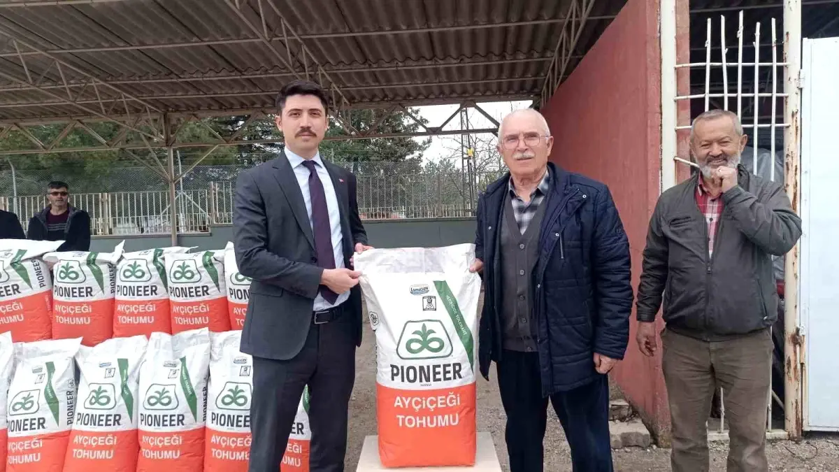 Bilecik'te Çiftçilere Ayçiçeği Tohumu Dağıtıldı