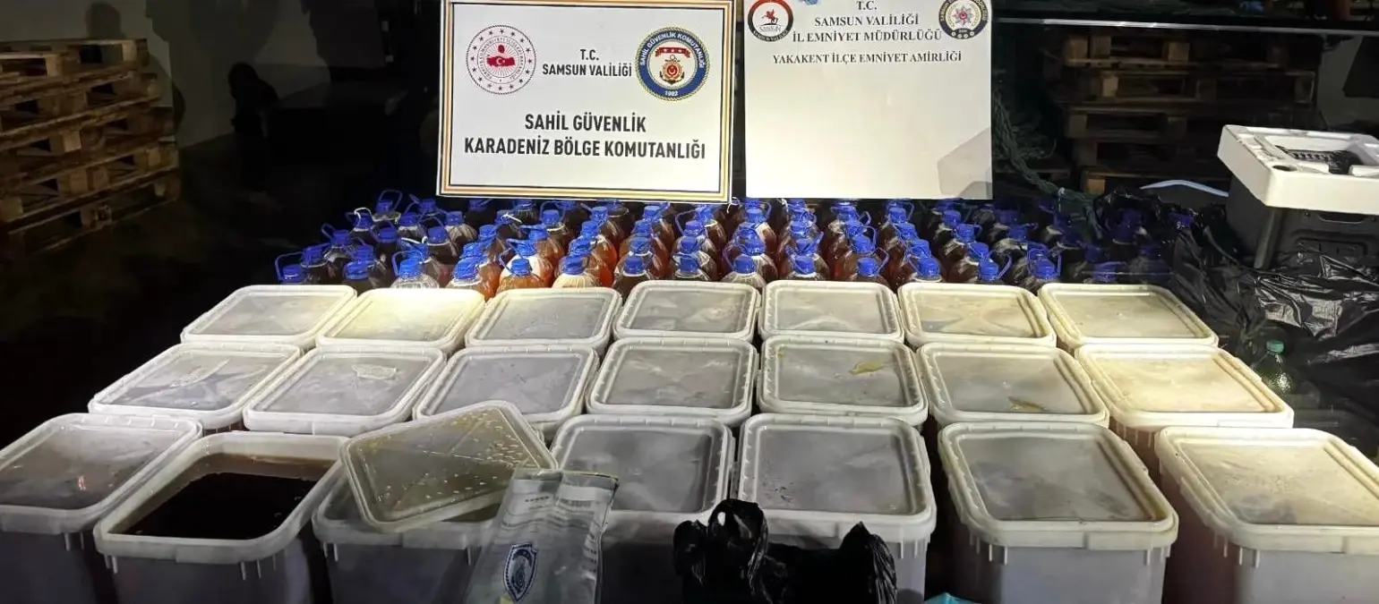 Samsun'da Kaçakçılık Operasyonu: 1 Ton 240 Kilo Kaçak Bal Ele Geçirildi
