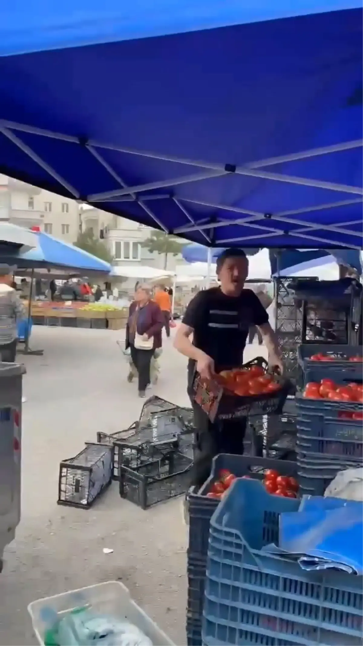 Çorum'da domatesleri çöpe döken pazarcıya milyonluk para cezası