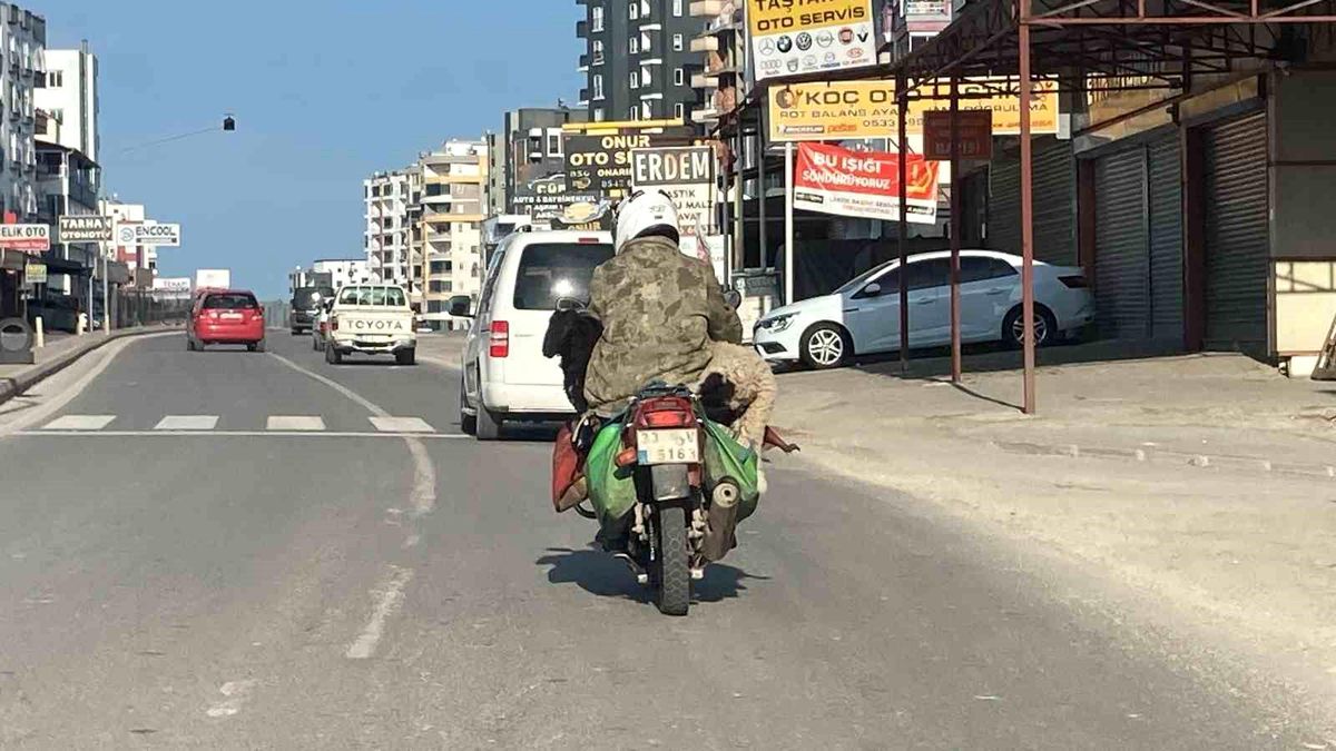 Mersin'de Motosikletle Koç Taşıma Olayı