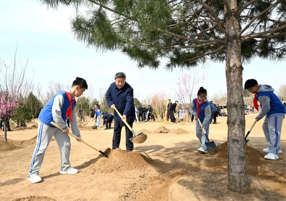 Xi Jinping'den Yeşil Çin İçin Ağaçlandırma Çağrısı