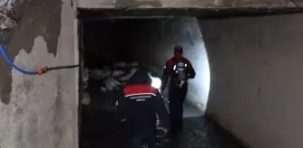 Kırıkkale'de 'koku' faciası: 23 küçükbaş hayvan telef oldu, 77'si son anda kurtarıldı