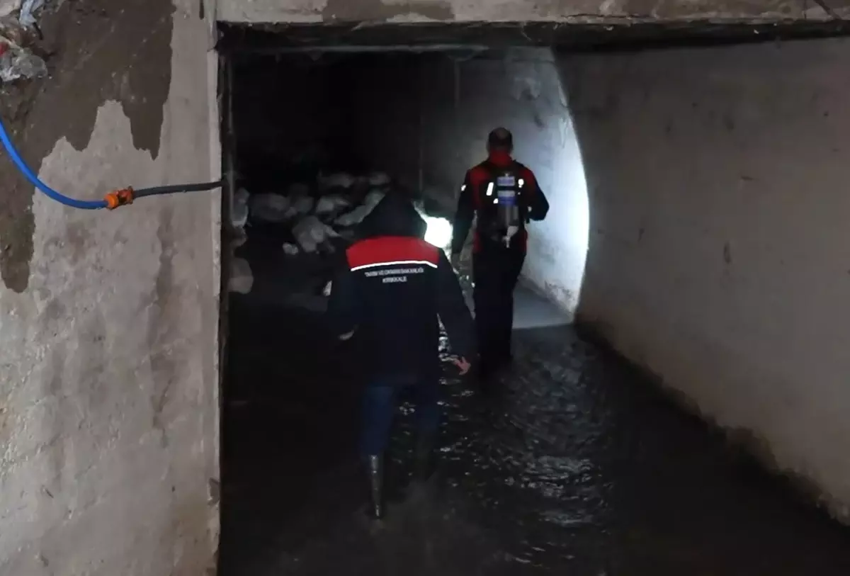 Kırıkkale'de 'koku' faciası: 23 küçükbaş hayvan telef oldu, 77'si son anda kurtarıldı