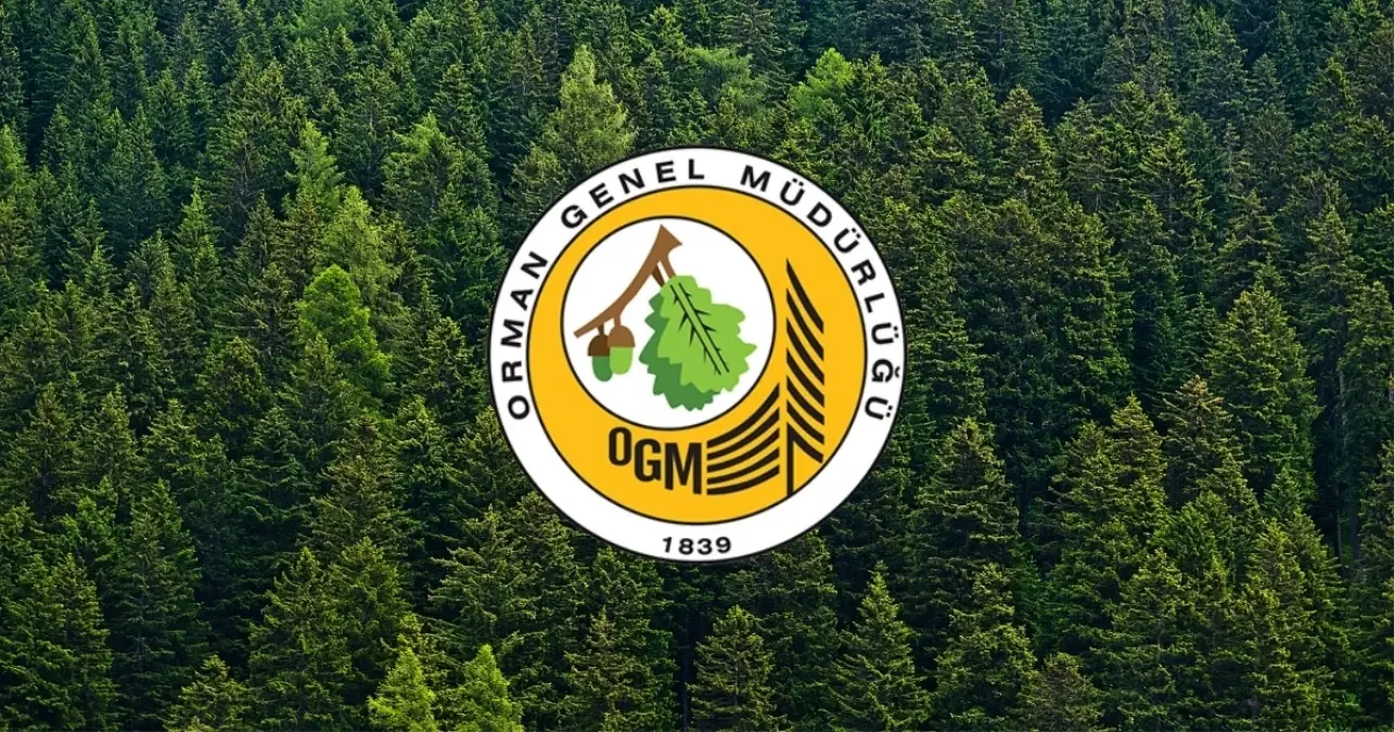 OGM KURA SONUÇLARI || OGM işçi alımı kura sonuçları hangi iller açıklandı? OGM işçi alımı kura sonucu sorgulama ekranı!