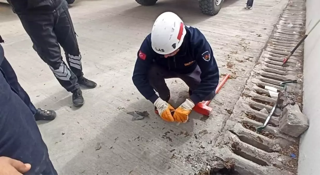 Şanlıurfa'da Yavru Kedi Mazgaldan Kurtarıldı