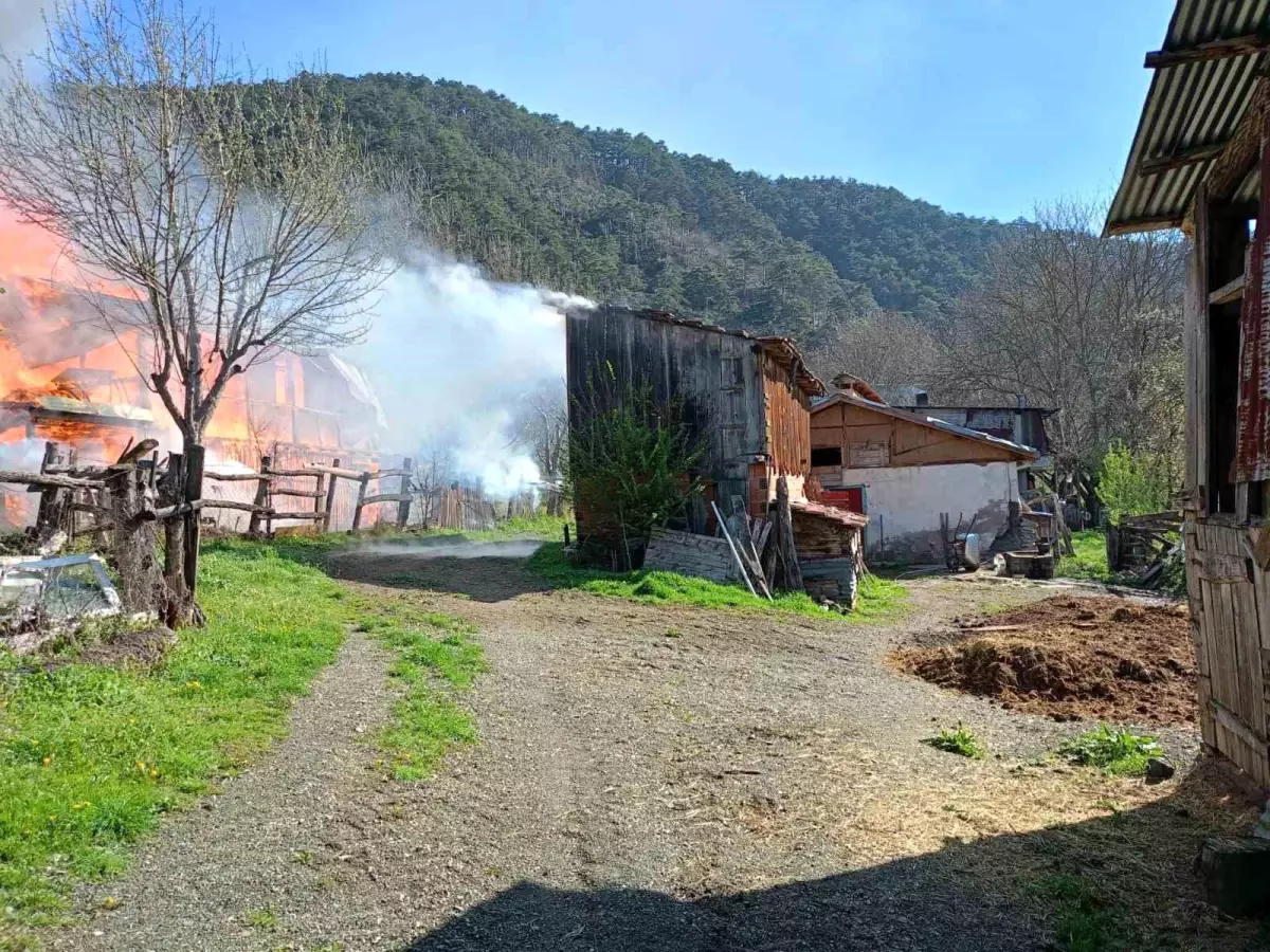 Bolu'da Soba Yangını: 2 Katlı Ahşap Ev Küle Döndü