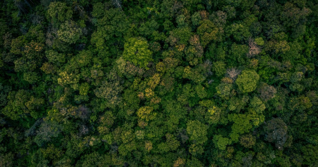 İklim kanunu nedir, maddeleri nelerdir? Türkiye iklim yasasını kabul etti mi? İklim kanunu nedir, maddeleri nelerdir? Türkiye iklim yasasını kabul etti mi?
