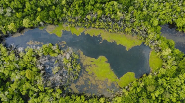 İklim yasası onaylanırsa ne olur? İklim kanunun amacı nedir?