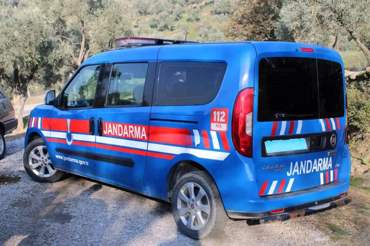 Aydın'da Tarımsal Ürün Hırsızlığı: 4 Şüpheli Suçüstü Yakalandı