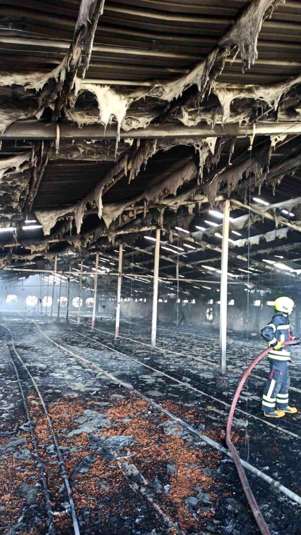 Mersin'de Boş Tavuk Çiftliğinde Yangın Çıktı
