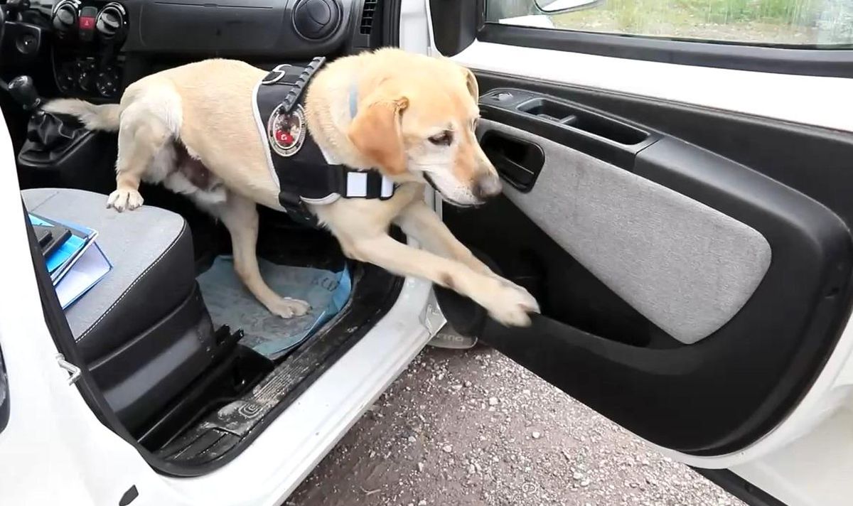 Kayseri'de Uyuşturucu Operasyonu: 3 Kişi Yakalandı