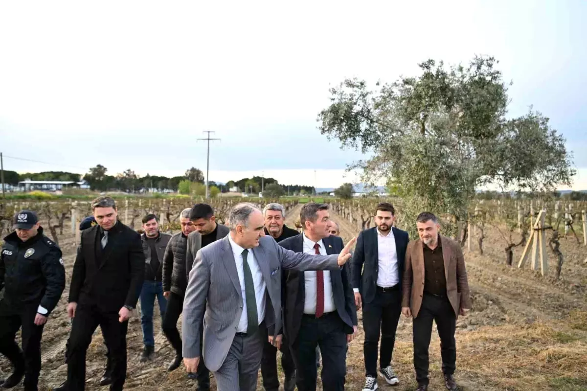 Manisa'da Don Olacağı ve Üreticilere Geçmiş Olsun Mesajı