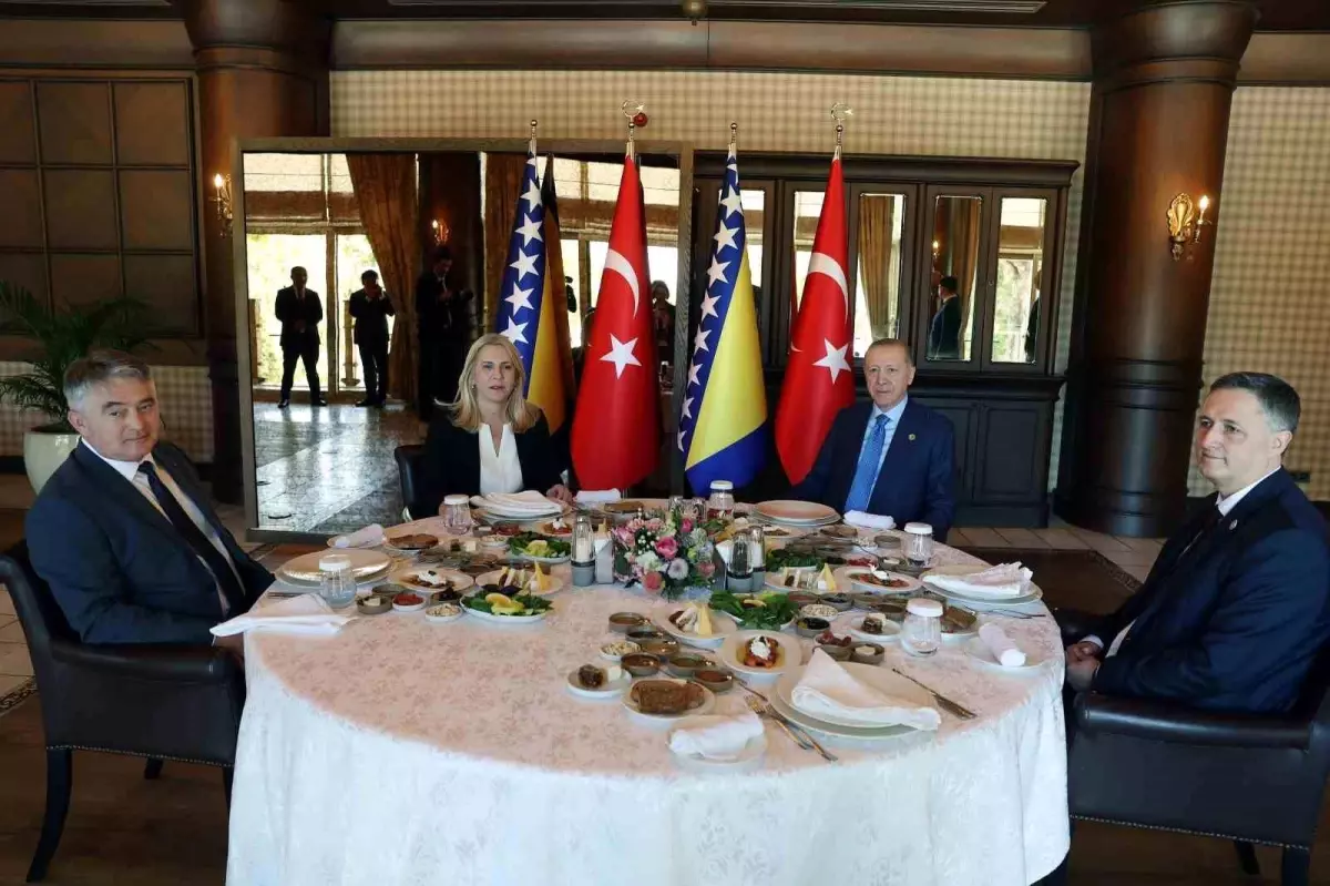 Cumhurbaşkanı Erdoğan, Bosna-Hersek Başkanlık Konseyi Başkanı ve üyeleriyle görüştü