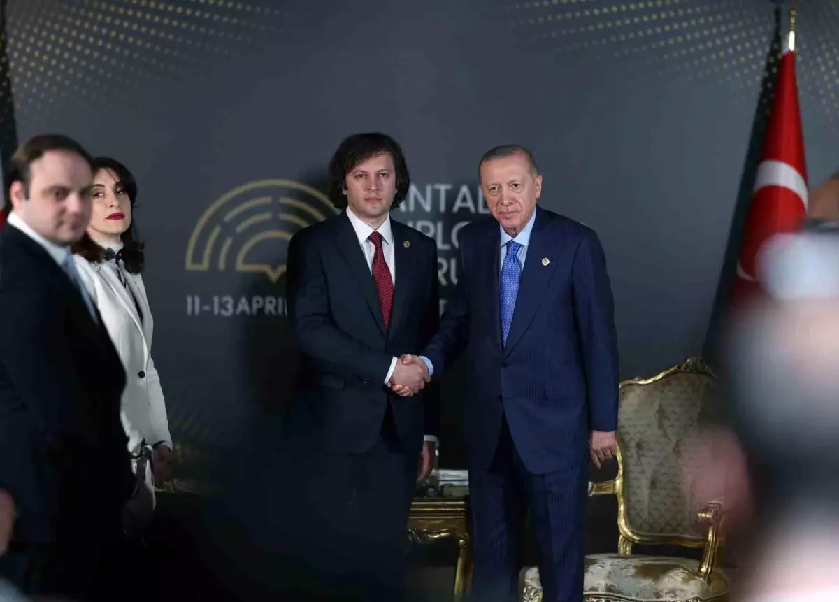 Cumhurbaşkanı Erdoğan, Gürcistan Başbakanı Kobakhidze'yi kabul etti